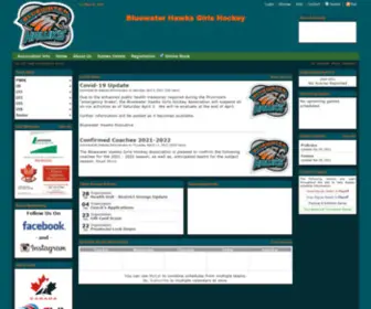 Bluewaterhawks.com(Bluewater Hawks Girls Hockey) Screenshot