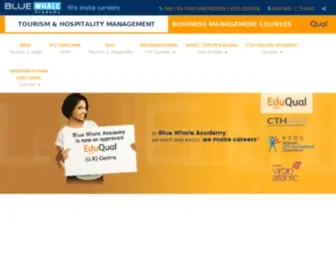 Bluewhaleacademy.com(Travel & Tourism) Screenshot