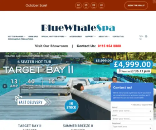 Bluewhalespa.com(Hot Tub) Screenshot