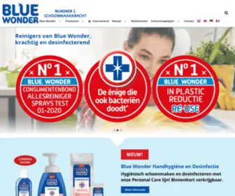 Bluewonder.com(Home) Screenshot