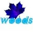 Bluewoods.ir Favicon