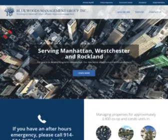 BluewoodsmGMT.com(Blue Woods Management Group) Screenshot