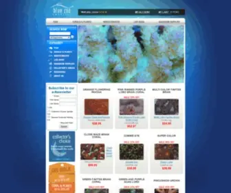 Bluezooaquatics.com(Buy Saltwater Fish & Coral) Screenshot