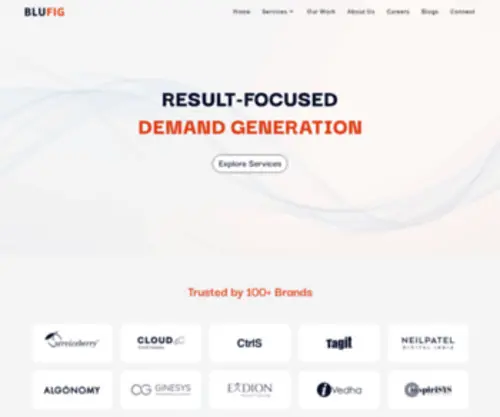 Blufig.digital(Best Digital Marketing Agency) Screenshot