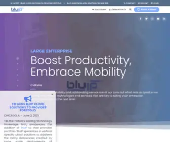 Bluip.com(A Leading Provider of Enhanced Cloud Services) Screenshot