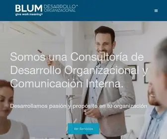 Blum.consulting(Blum consulting) Screenshot