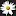 Blume7.de Favicon