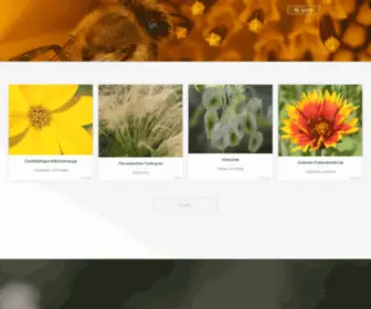 Blume7.de(Blumenphotos nach Gattung) Screenshot