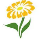 Blumen-Dani.at Favicon
