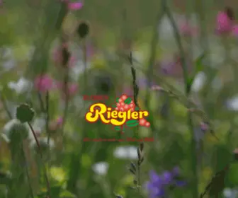 Blumen-Riegler.at(Willkommen) Screenshot