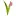 Blumen-Versender.com Favicon