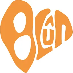 Blun.nl Logo