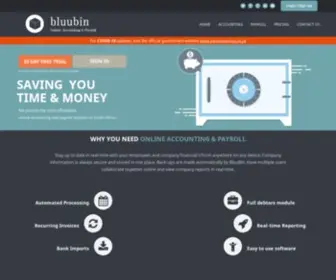 Bluubin.co.za(Online Accounting and Payroll) Screenshot