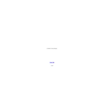 BMCNYC.com(Flash Intro Page) Screenshot