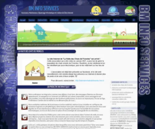 Bminfoservices.com(BM INFO SERVICES) Screenshot