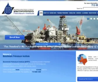 BMpti.com(Benchmark Petroleum Institute) Screenshot