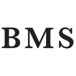 BMS-ART.com Logo