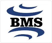 Bmsaritma.net Favicon