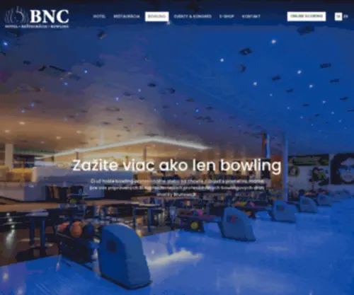 BNC-SK.sk(Úvod) Screenshot