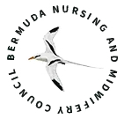 BNC.bm Favicon