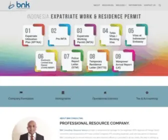 BNK.co.id(Binka consulting) Screenshot