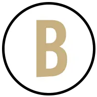 Boardroomstylinglounge.com Favicon