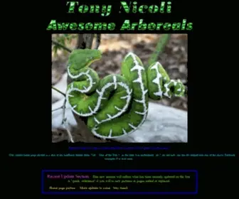 Boas.net(Tony Nicoli) Screenshot