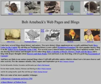 Bobarnebeck.com(Bob Arnebeck's Web Links) Screenshot