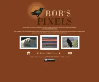 Bobspixels.com(Bob Ribokas) Screenshot