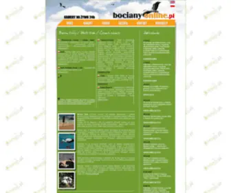 Bocianyonline.pl(Bociany online) Screenshot