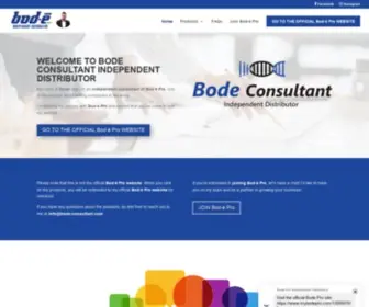 Bode-Consultant.com(Bode Consultant) Screenshot