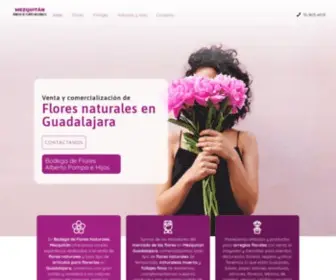 Bodegadefloresnaturalesmezquitan.com(Artículos para florerías) Screenshot