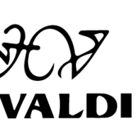 Bodegavaldi.com.uy Favicon