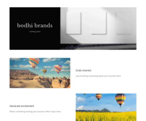 Bodhibrands.com(Bodhi Brands) Screenshot