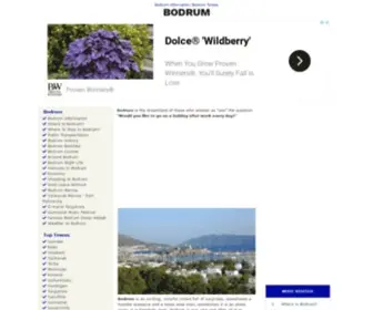 Bodrum.org(Bodrum Turkey) Screenshot