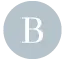 Bohoblu.com Logo