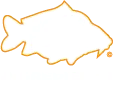 Boiliedesigningredients.com Favicon