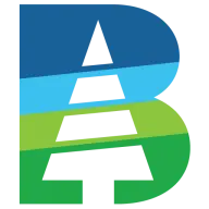 Boisenetworking.com Favicon