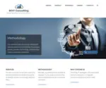 Boitconsulting.com Screenshot