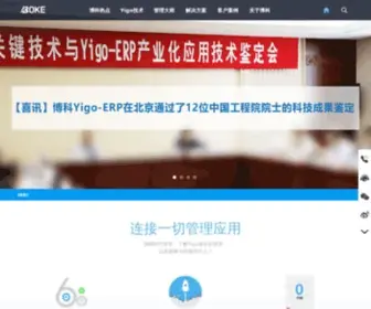 Bokesoft.com(博科网) Screenshot