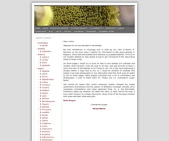Boletales.com(This site) Screenshot