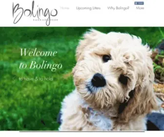 Bolingolabradoodles.com(Puppy Application) Screenshot