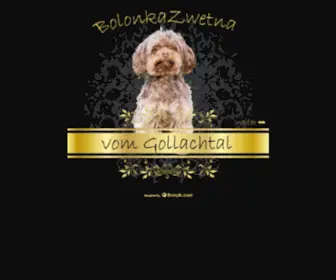 Bolonka-Zwetna.org(Züchter) Screenshot