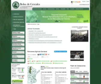 Bolsadecereales.com(Bolsa de Cereales) Screenshot