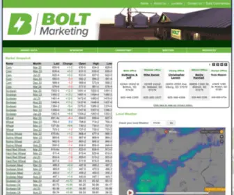 Boltmarketingllc.com(Bolt Marketing LLC) Screenshot