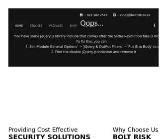 Boltrisk.com(A Decade of Security) Screenshot