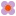 Bombayduck.com Favicon