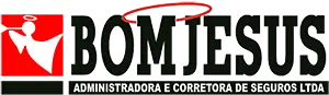 Bomjesusseguros.com.br Favicon