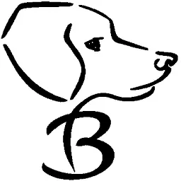 Bonali.de Logo