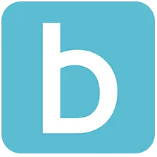 Bondforwebsolutions.nl Logo
